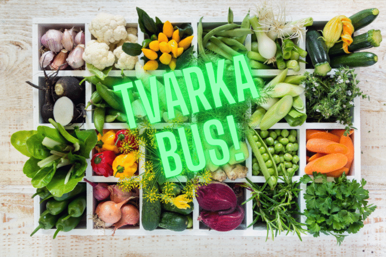 Keeping an organised kitchen: my kitchen rules